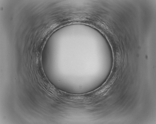X0000058101257200510171209