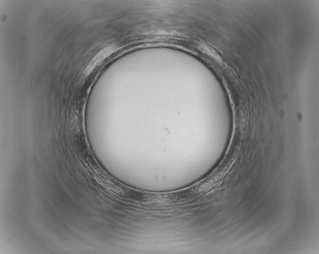 X0000058101259200510171209