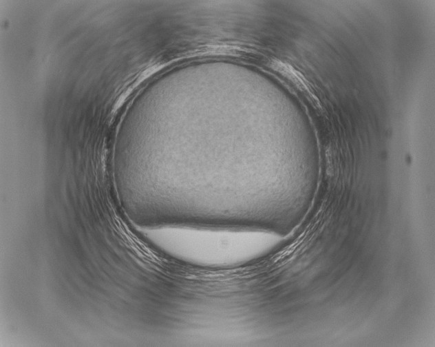 X0000058101260200510171209
