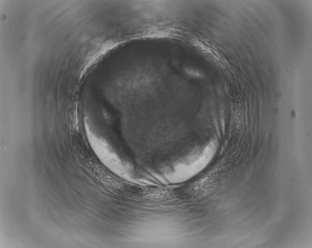 X0000058101262200510171209