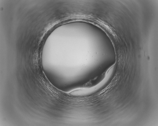 X0000058101264200510171209