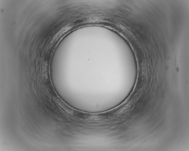 X0000058101265200510171209