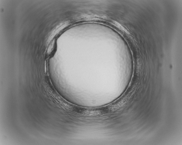 X0000058101269200510171209