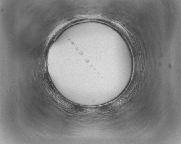 X0000058101271200510171209