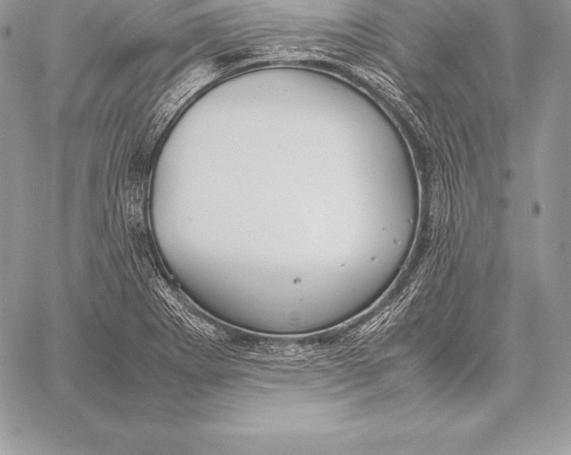 X0000058101273200510171209