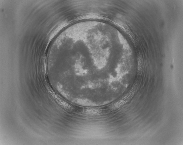 X0000058101274200510171209