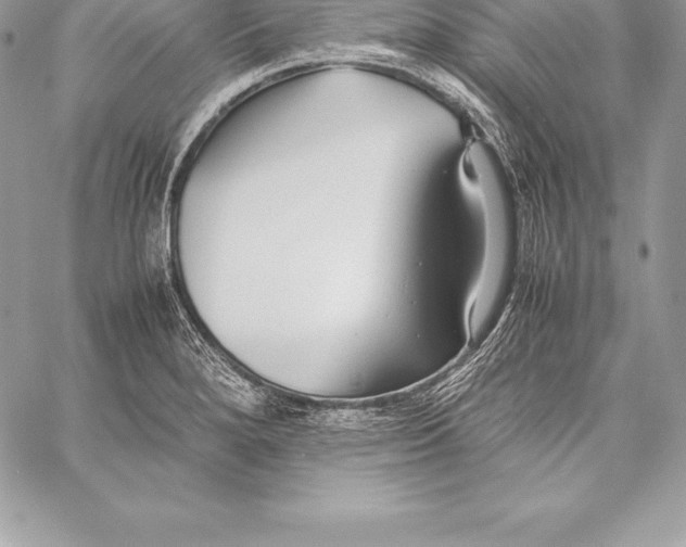 X0000058101280200510171209