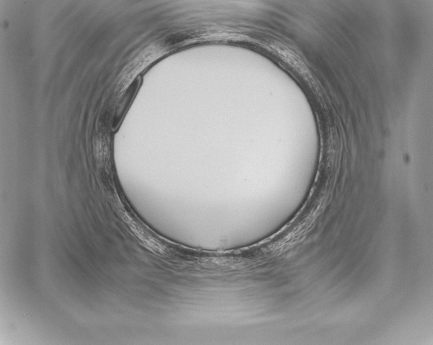X0000058101281200510171209