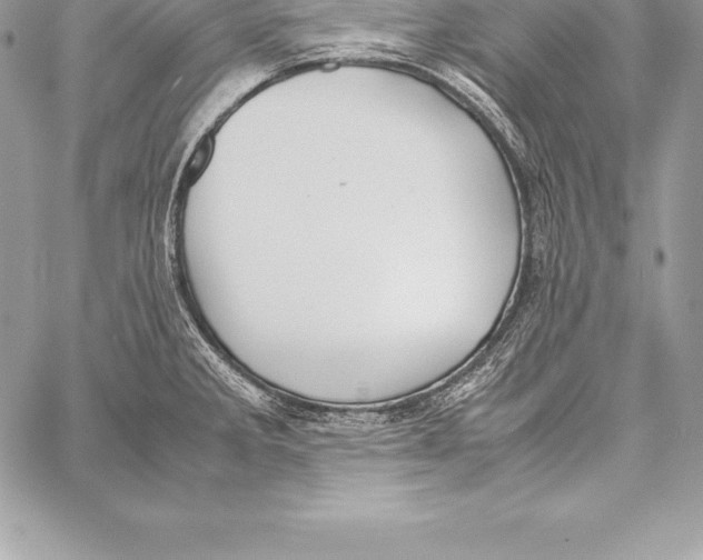 X0000058101285200510171209