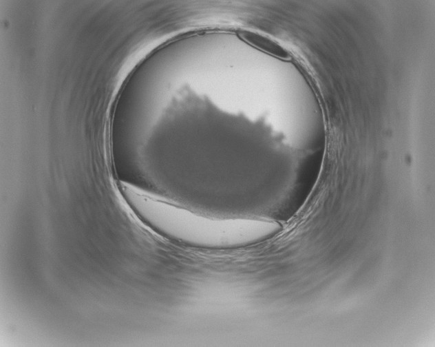 X0000058101295200510171208