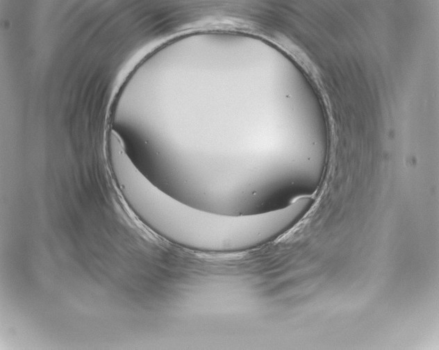 X0000058101296200510171208
