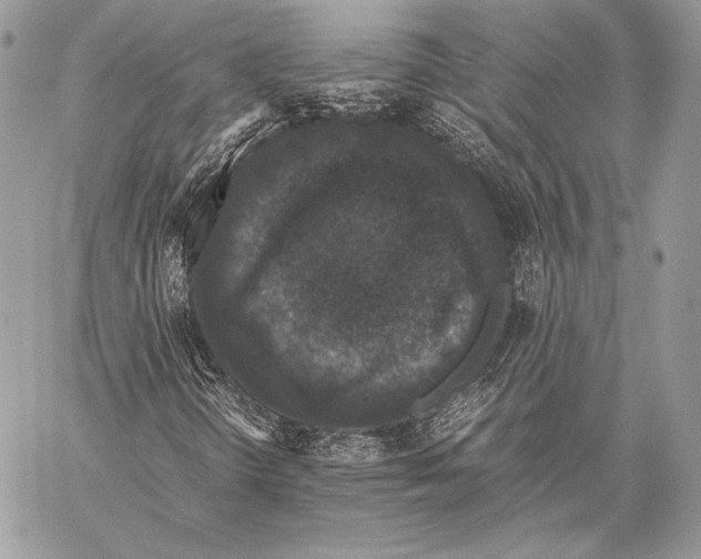 X0000058101298200510171208