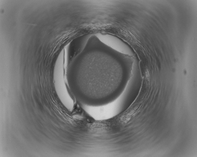 X0000058101300200510171208
