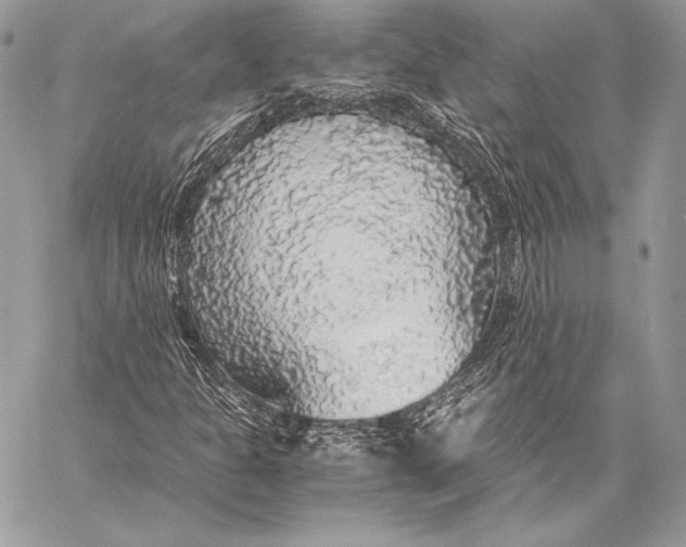 X0000058101301200510171208