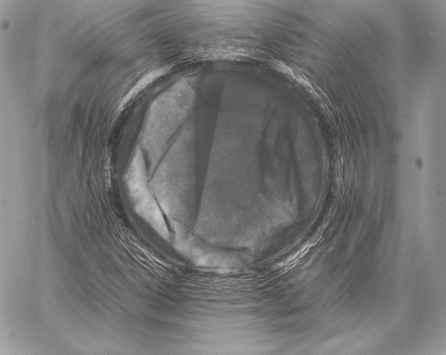 X0000058101306200510171208