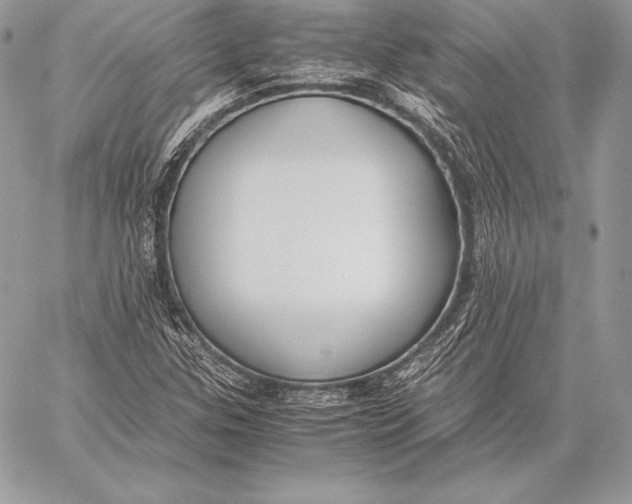 X0000058101307200510171208