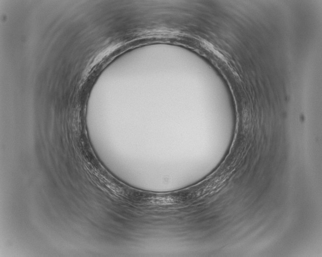 X0000058101315200510171208