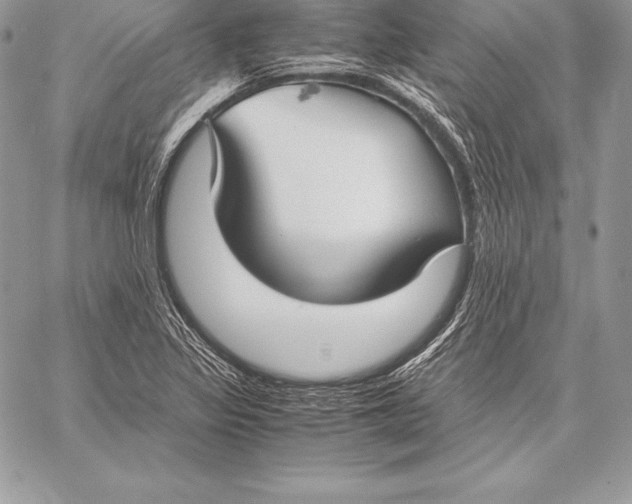 X0000058101317200510171208