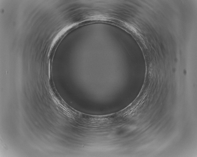 X0000058101323200510171208
