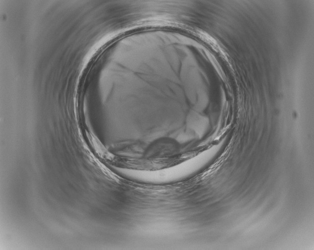 X0000058101334200510171208