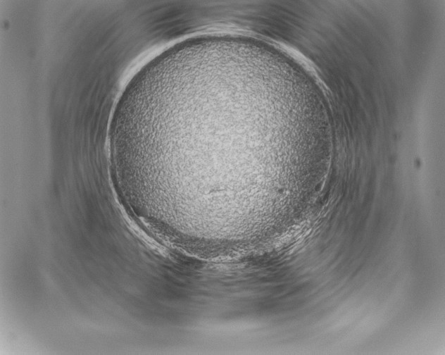 X0000058101335200510171208
