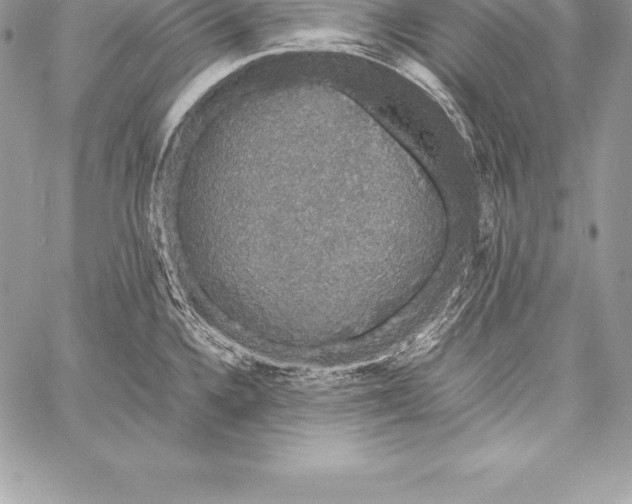 X0000058101336200510171208