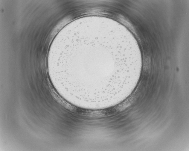 X0000058101338200510171208