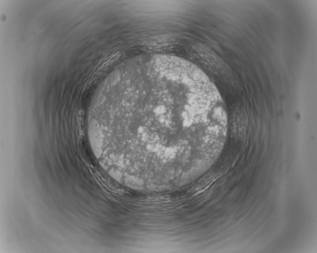 X0000058101346200510171208