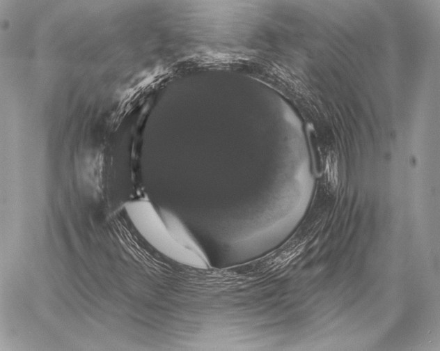 X0000058101348200510171207