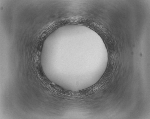 X0000058101349200510171207