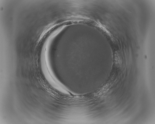 X0000058101352200510171207