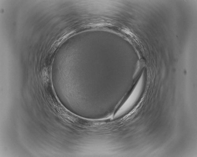 X0000058101353200510171207