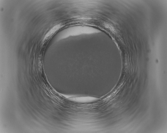 X0000058101354200510171207