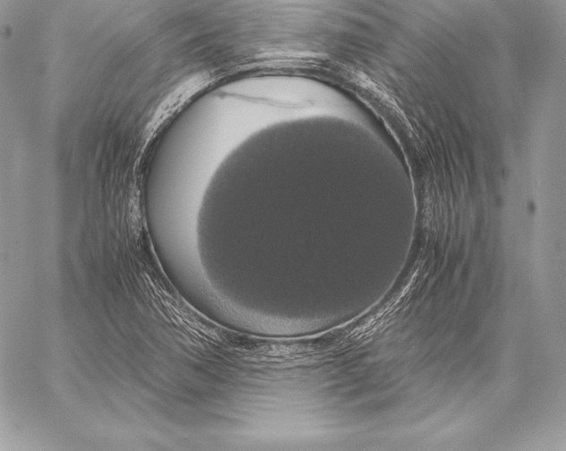 X0000058101362200510171207