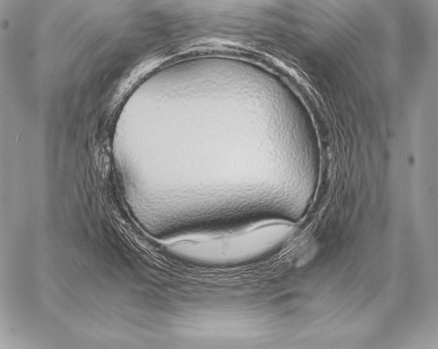 X0000058101363200510171207