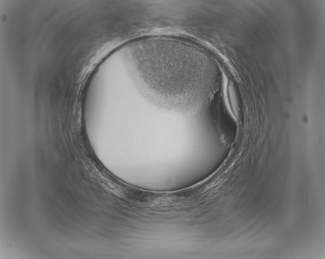 X0000058101367200510171207
