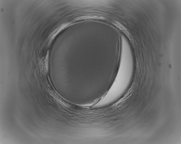 X0000058101369200510171207