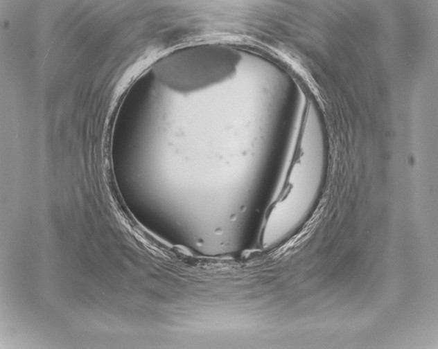 X0000058101373200510171207
