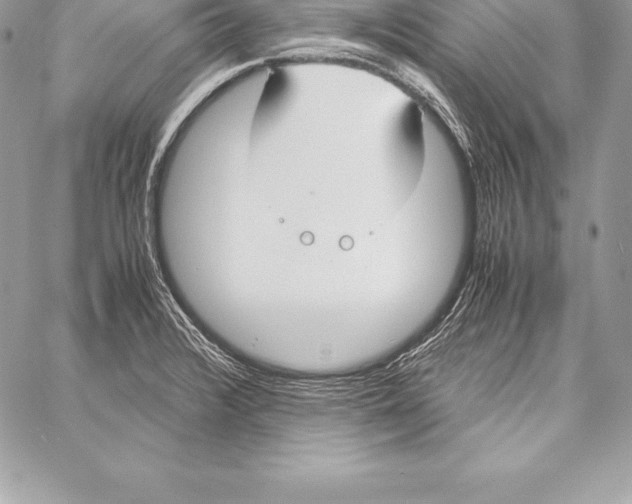 X0000058101376200510171207