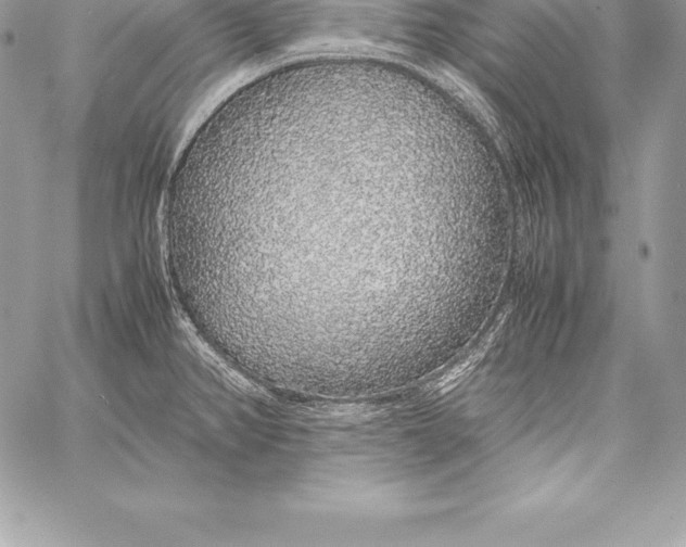 X0000058101382200510171207