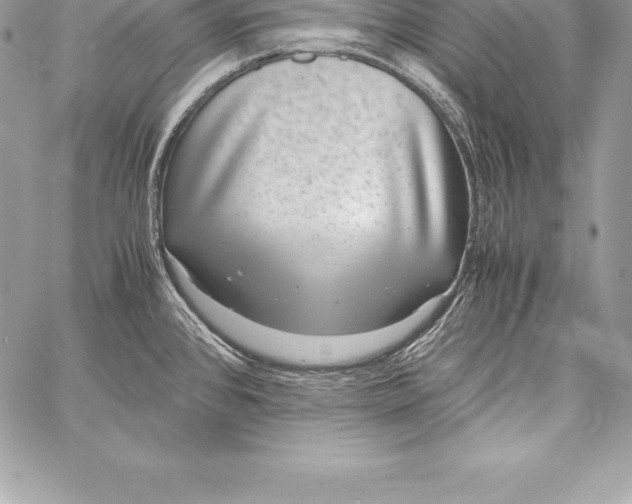 X0000058101384200510171207