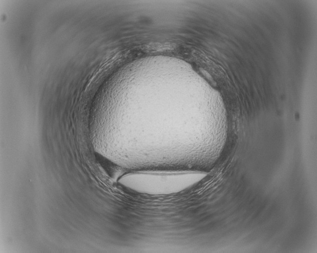 X0000058101393200510171206