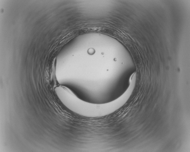 X0000058101394200510171206