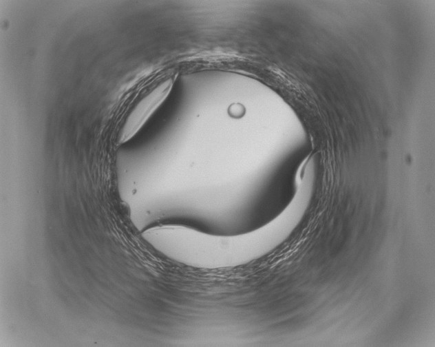 X0000058101398200510171206