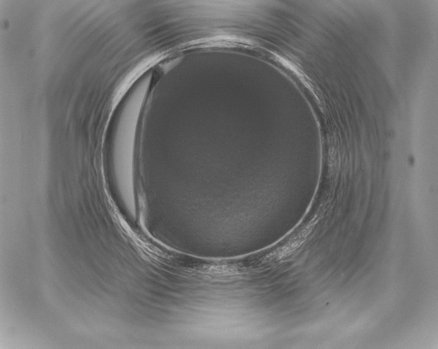 X0000058101418200510171206