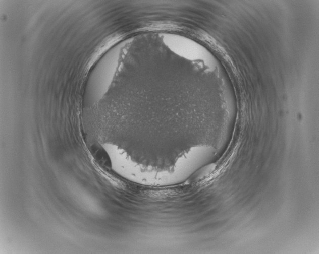 X0000058101425200510171206