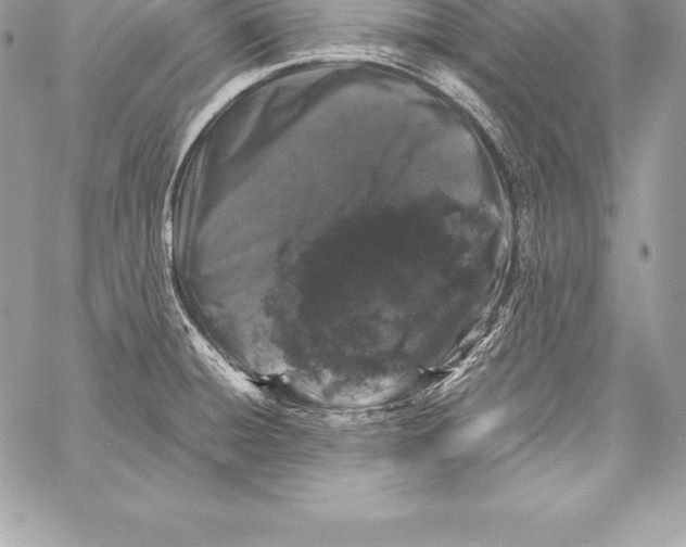 X0000058101428200510171207