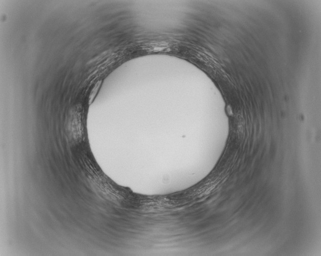 X0000058101442200510171206