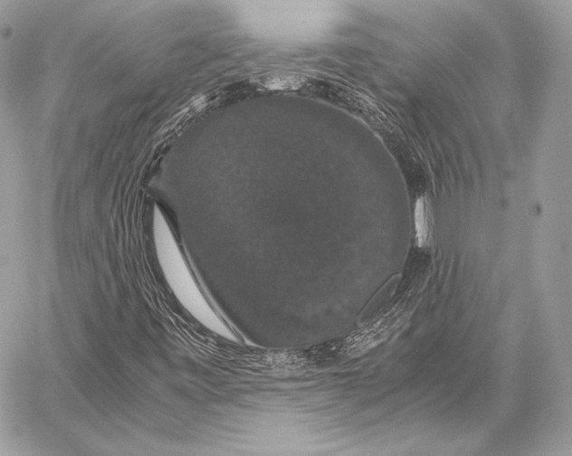 X0000058101443200510171206