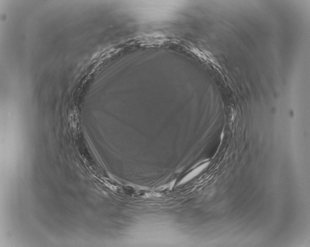 X0000058101445200510171206